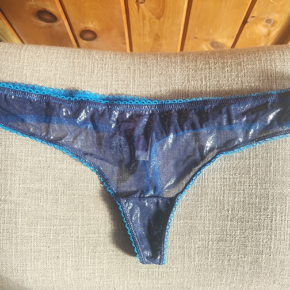 Adore Me Blue Sheer Panties